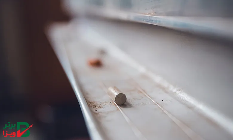مزایا مهاجرت تحصیلی