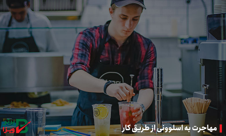 مهاجرت به اسلوونی از طریق کار
