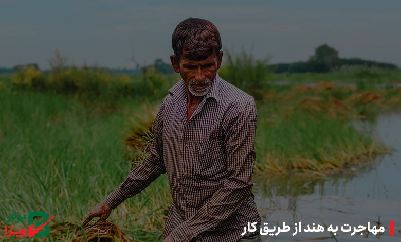 مهاجرت به هند از طریق کار