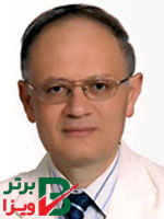 وکیل حسن امیر شاهی