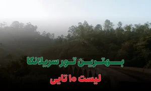 بهترین تور سریلانکا