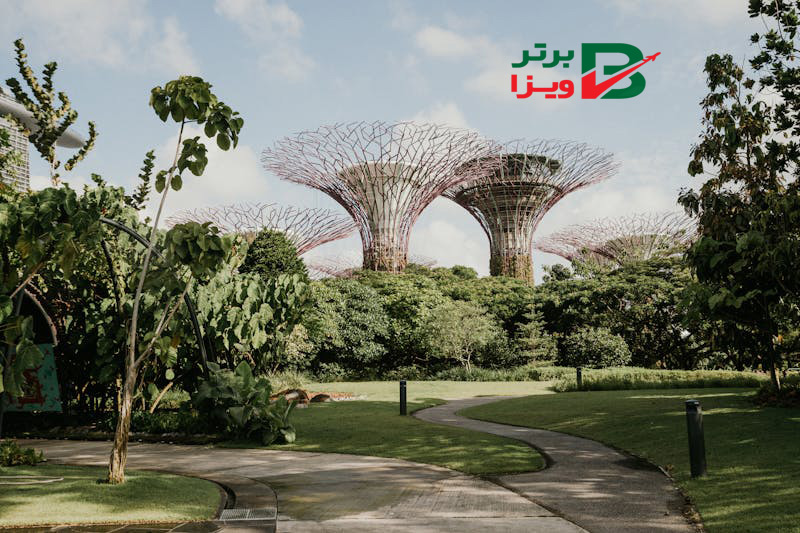 مکان دیدنی باتومی، باغ باتانیکال باتومی (Batumi Botanica Garden)