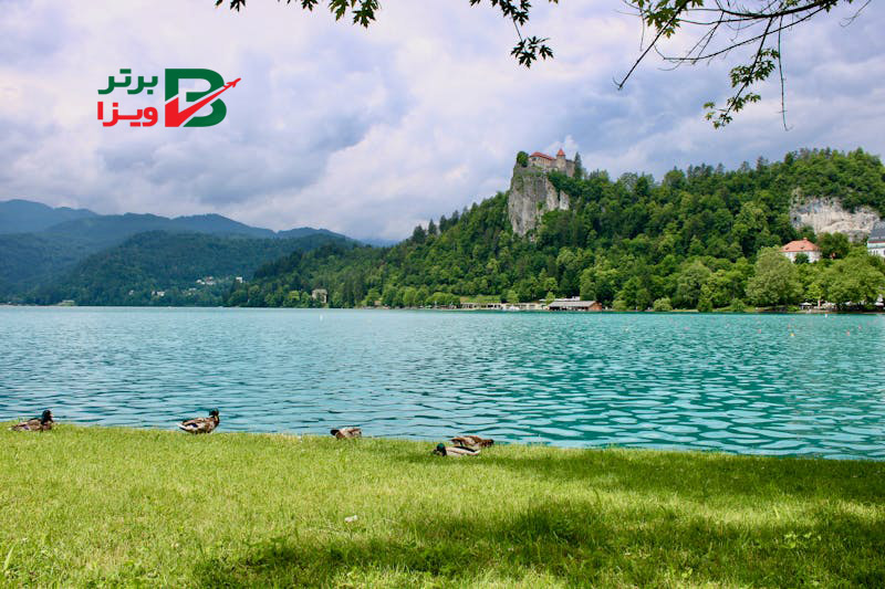 مکان دیدنی باتومی، دریاچه باتومی (Batumi Lake)