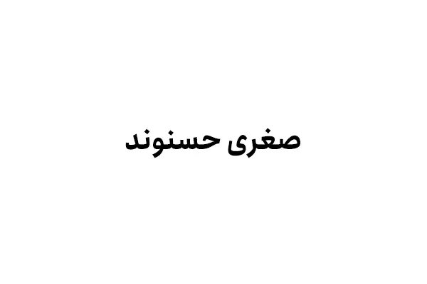 صغری حسنوند