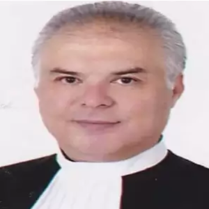 سید علیرضا سید آقایی