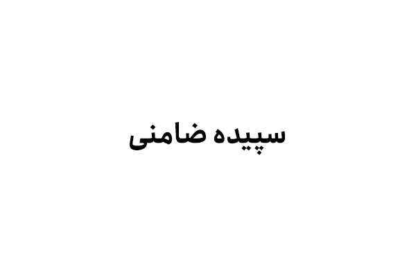 سپیده ضامنی