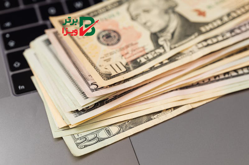 اهمیت داشتن برنامه‌ریزی مالی برای مهاجرت با کمک بهترین وکیل مهاجرتی سنندج